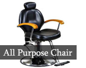 All Purpose Salon Chairs