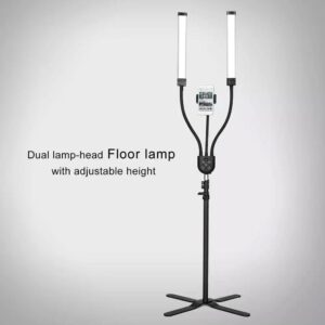 LED Dual lamp light
